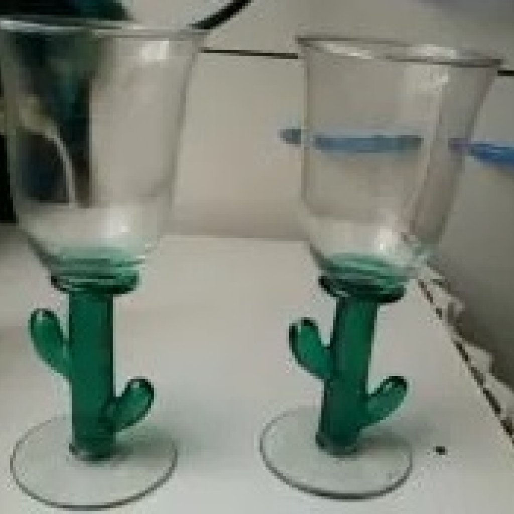 Verre Cactus