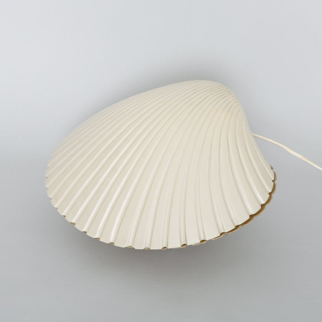 Coquillage