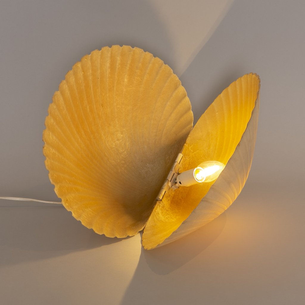 Coquillage