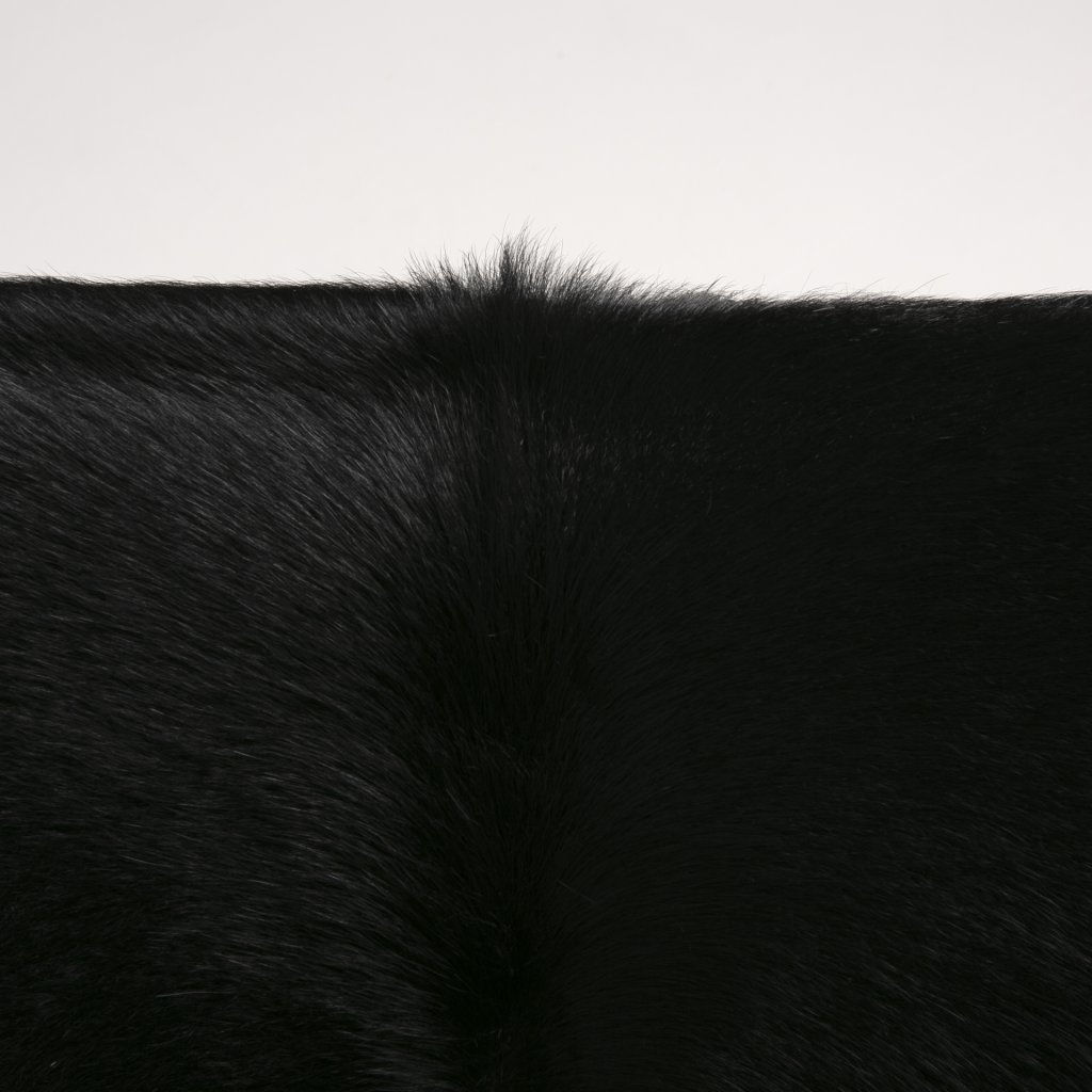 Buffalo