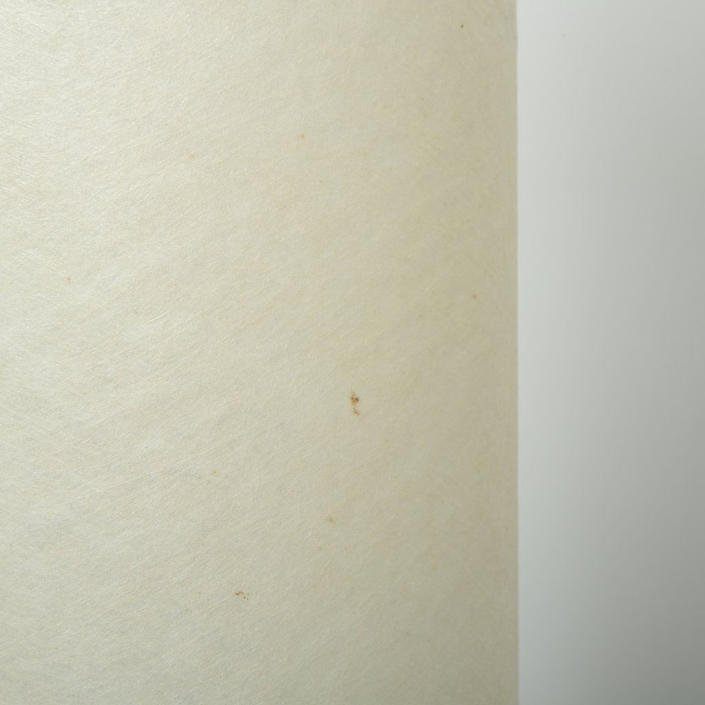 7606