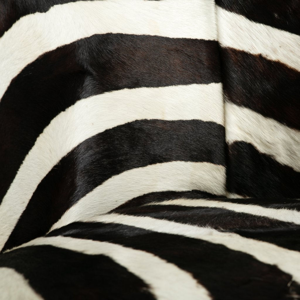 fauteuil zèbre